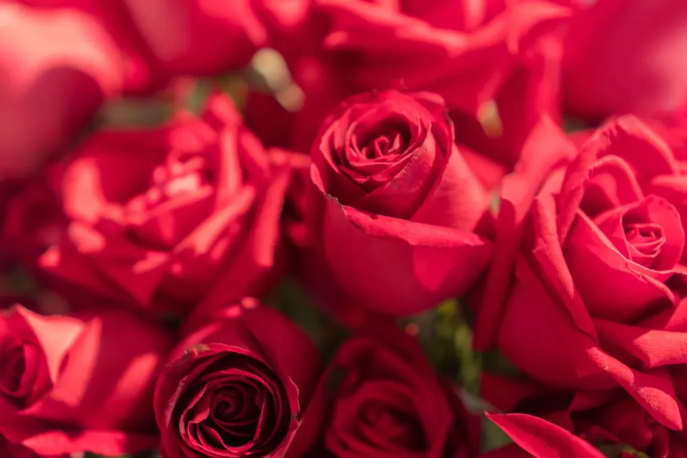 Saint Valentin fleur cadeau bouquet près de Allex