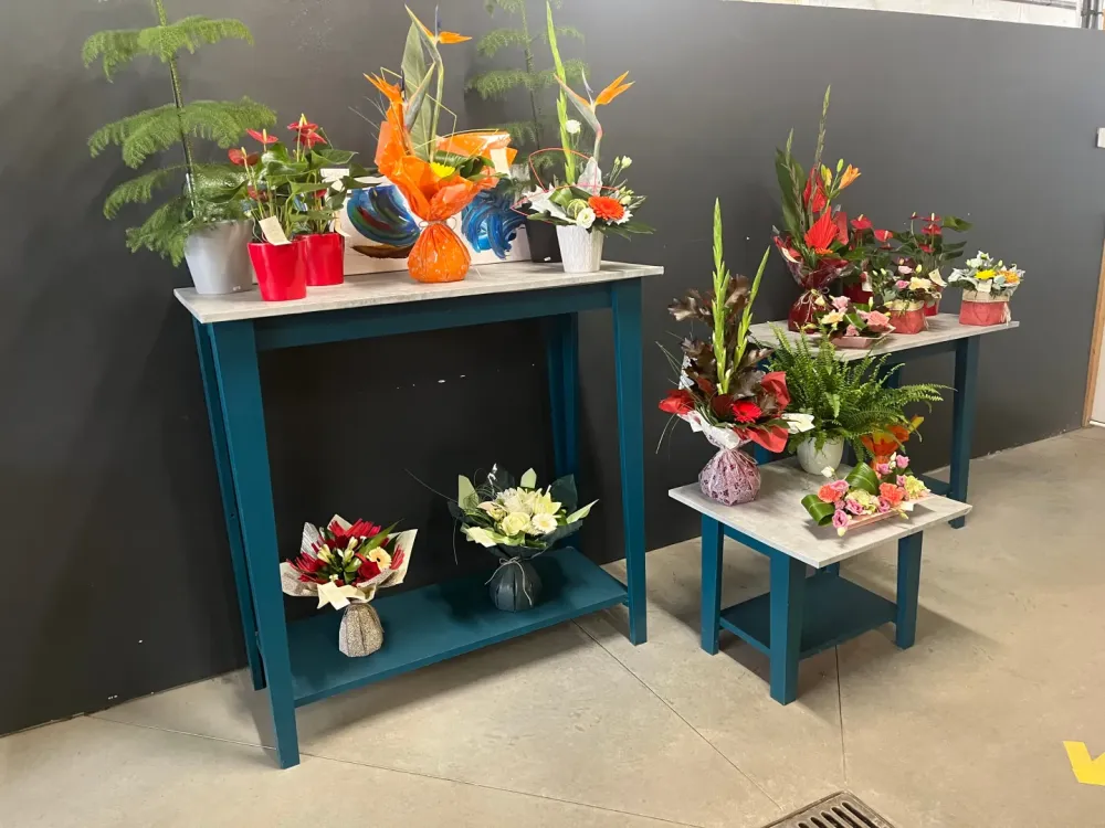 Décoration planteswebp