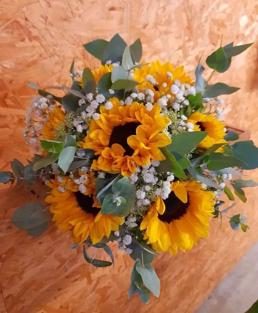 Production de fleurs près de Allex